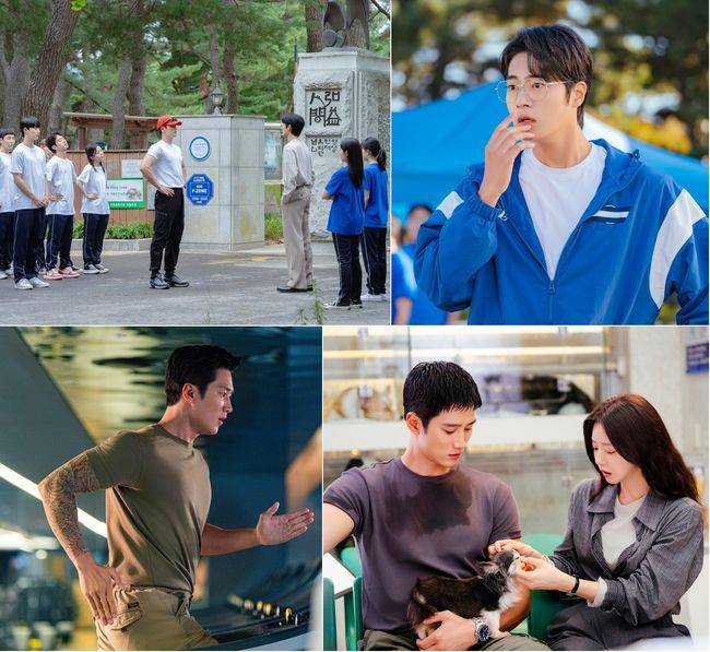 tvN 제공