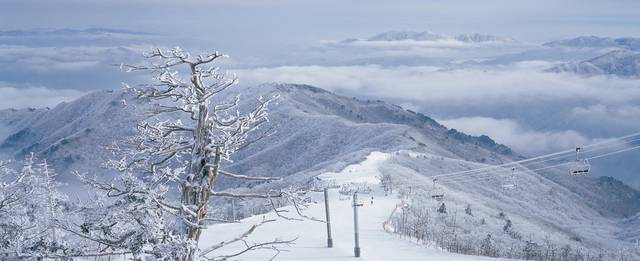 무주덕유산리조트 실크로드 슬로프.