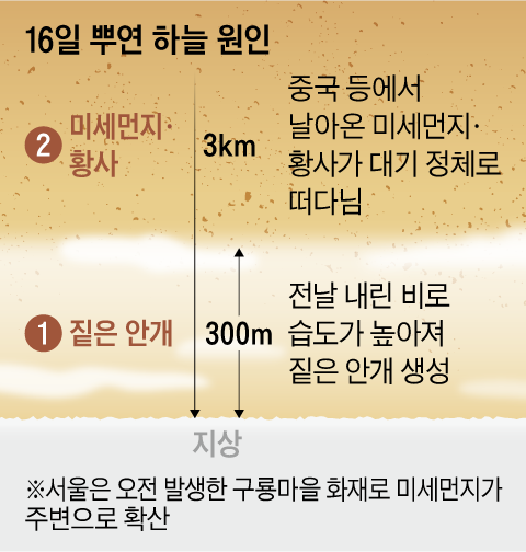 /그래픽=양진경