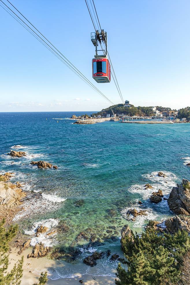 삼척 장호항과 용화해변을 잇는 해상케이블카는 겨울 바다의 거친 숨결부터 어촌의 소박한 일상까지 한눈에 담아내는, 가장 입체적인 조망의 길이다.