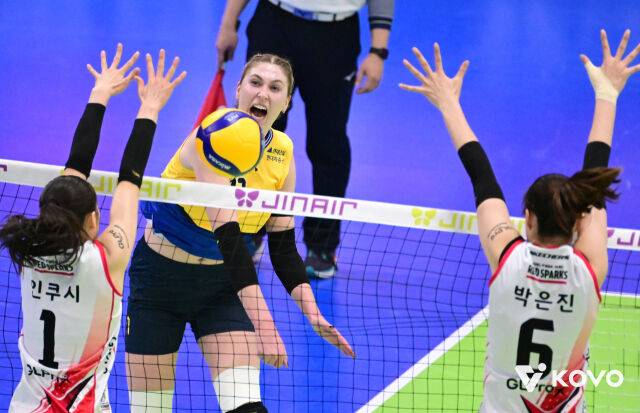 현대건설 카리/KOVO