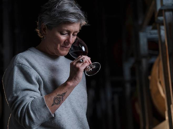 줄스 테일러. 홈페이지