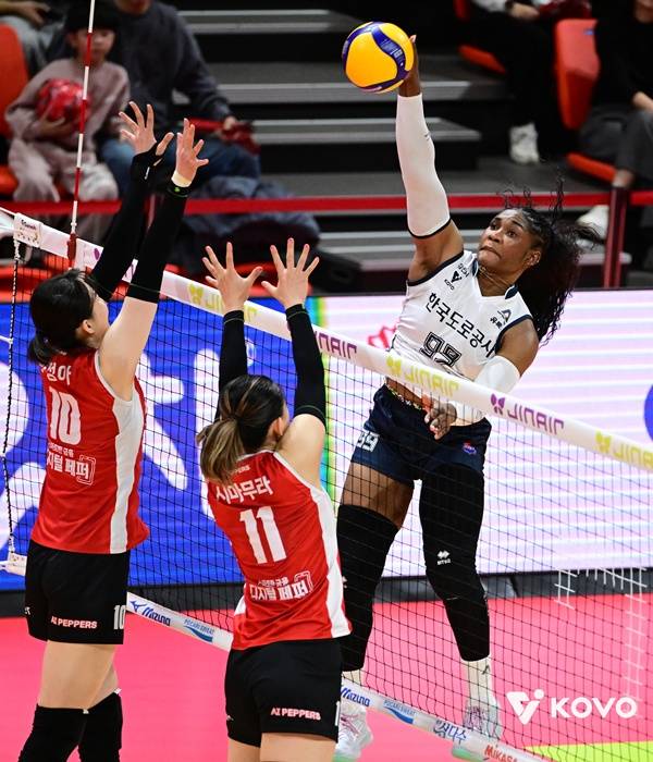 모마 / 사진=KOVO 제공