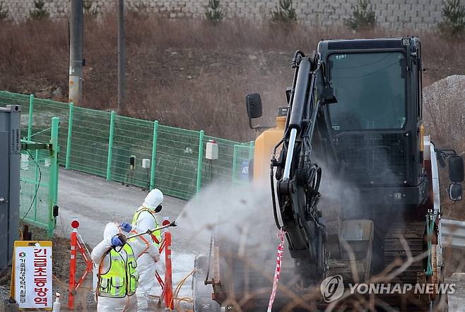 강릉 양돈농가서 아프리카돼지열병 발생…방역 초비상 (강릉=연합뉴스) 양지웅 기자 = 17일 아프리카돼지열병(ASF) 발생이 확인된 강원 강릉시 한 양돈농가에서 방역 관계자들이 살처분 작업 굴착기를 소독하고 있다. 2026.1.17 yangdoo@yna.co.kr