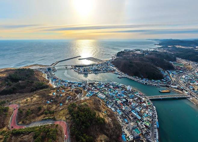 영덕강구항 전경. /영덕군 제공