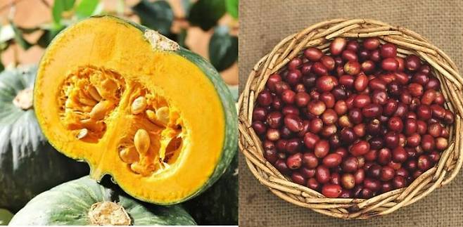 호박과 팥이 만나면 부기 완화에 다이어트에 효과적이다. 사진=게티이미지뱅크, 픽사베이