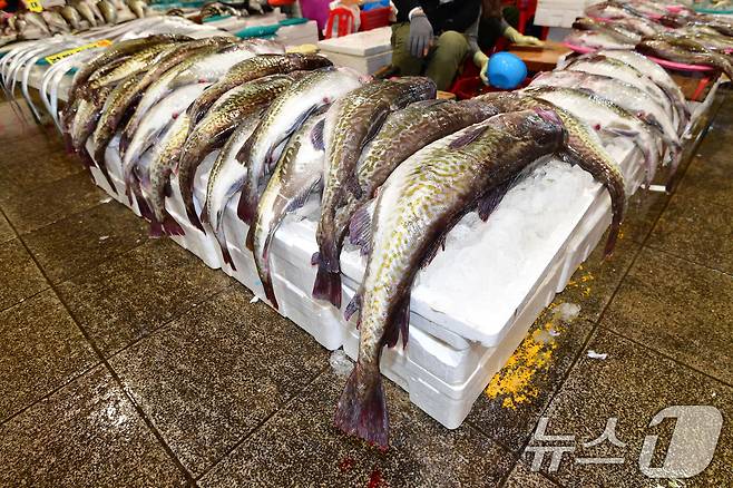 (사진은 기사 내용과 무관함) / 뉴스1 ⓒ News1