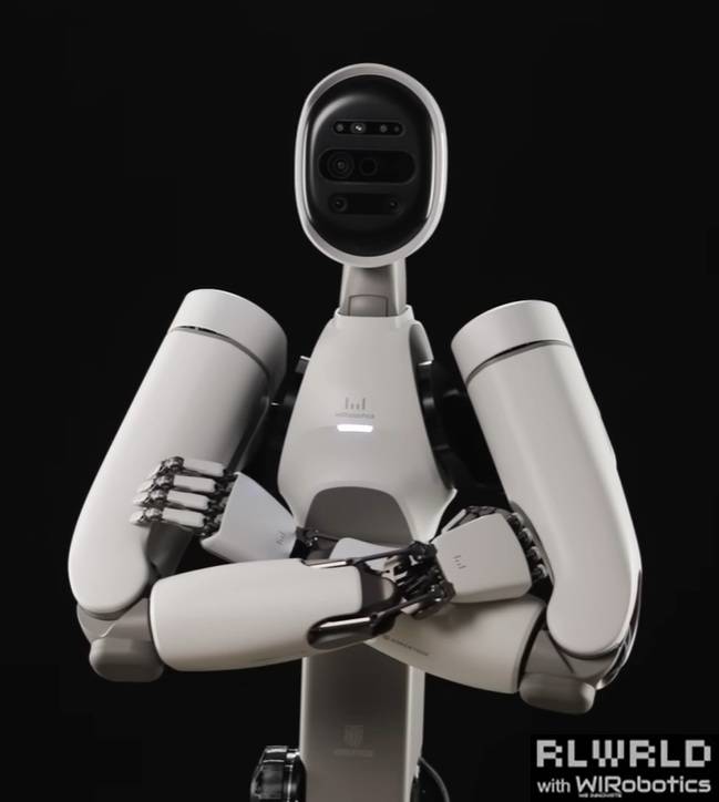 RLWRLD humanoid robot (RLWRLD)