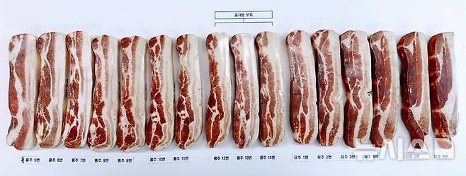 [세종=뉴시스] 18일 농림축산식품부가 최근 발표한 '축산물 유통 구조 개선 방안'에 따르면 정부는 삼겹살 대분류 체계는 유지하되 소분류 기준을 새로 도입하는 방안을 제시했다. 흉추 5번부터 요추 6번까지를 삼겹살로 묶는 기존 정의는 그대로 두고, 이를 앞삼겹(적정 지방), 돈차돌(과지방), 뒷삼겹(저지방)으로 구분해 유통할 수 있도록 한다는 내용이다. (사진 = 농식품부 제공) 2025.01.16.