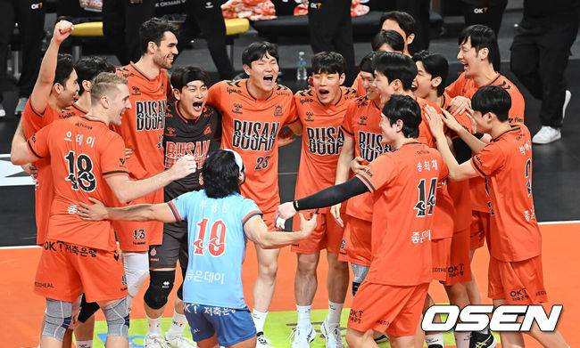 [OSEN=부산, 이석우 기자] 17일 부산 강서실내체육관에서 진에어 2025-2026 V리그 남자부 OK저축은행과 삼성화재의 경기가 열렸다. OK저축은행은 삼성화재전에서도 시즌 4번째 매진을 달성하며 뜨거운 홈 열기에 힘입어 세트 스코어 3-2로 짜릿한 역전승을 기록했다.OK저축은행 선수들이 5세트를 17-15로 승리한 후 기쁨을 나누고 있다. 2026.01.17 / foto0307@osen.co.kr