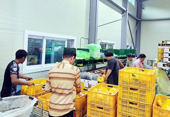 농촌인력난 해소에 큰 도움이 되는 외국인 계절근로자 [충북도 제공. 재판매 및 DB 금지]