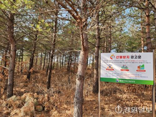 ◇1996년 고성 산불이 발생한지 30년이 지난 2026년 1월18일. 당시 산불 피해지역의 산림은 대부분 복구됐지만 여전히 감시 체계와 대응 시스템은 30년 전과 크게 변하지 않았다는 지적이 나오고 있다. 사진은 산불 피해가 발생한 고성군 죽왕면의 한 산림.