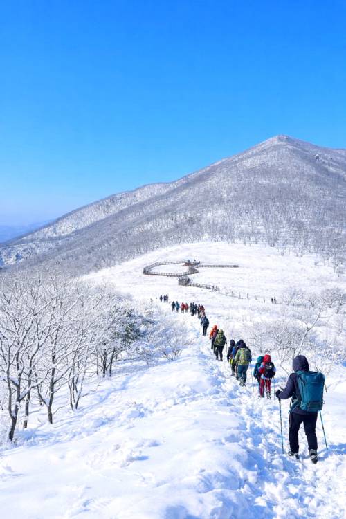 인제군 기린면에 위치한 곰배령이 최근 내린 눈으로 순백의 설경이 펼쳐진 가운데, 18일 탐방객들이 트레킹을 즐기고 있다. ‘천상의 화원’ 이라고도 불리는 곰배령은 3.7㎞ 왕복 4시간 코스이며 오전 9시부터 오후 2시까지 운영된다.