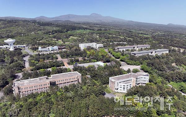 옛 탐라대학교 부지 전경. 사진=제주특별자치도