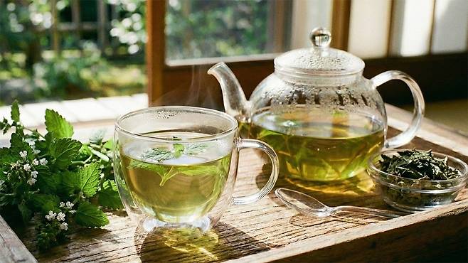 레몬밤 추출물이 제2형 당뇨병 환자의 혈당과 당화혈색소 수치를 줄일 수 있다는 연구결과가 있다｜출처: Gemini 생성