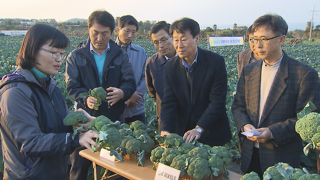 지난 2012년 브로콜리 종자 시험포장에서 진행된 품평회. 맨 왼쪽이 당시 농업연구사였던 고순보 제주도농업기술원 친환경연구과장