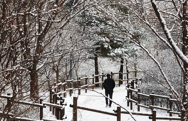 A person walks along a snow-covered path at a park in Yeongtong-gu, Suwon, Gyeonggi Province, on Monday. (Yonhap)
