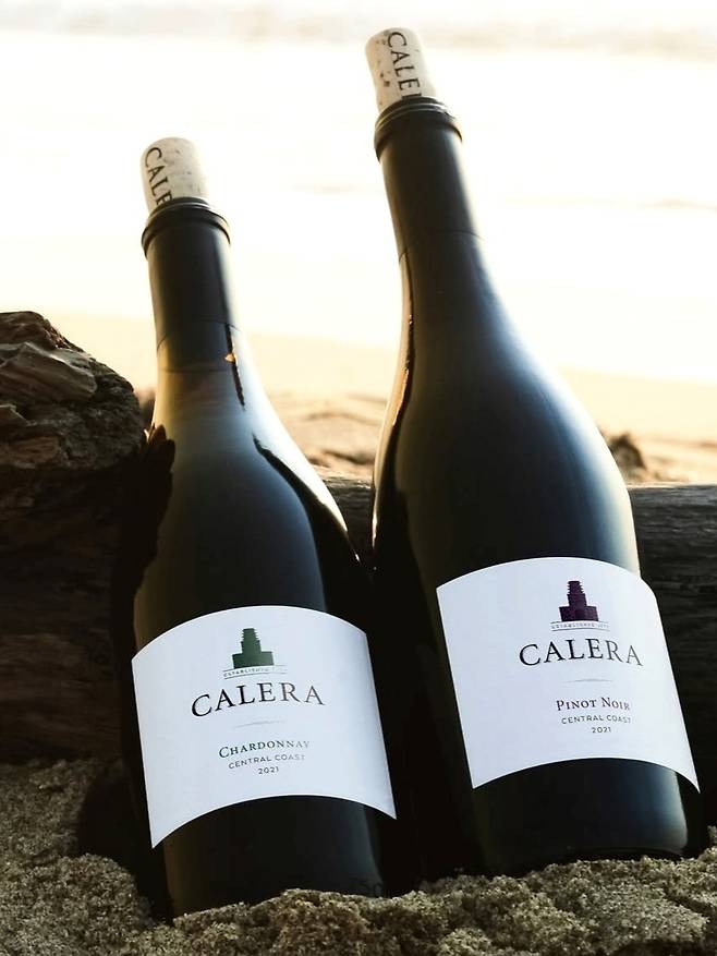 칼레라 센트럴 코스트 피노누아와 샤르도네. 인스타그램