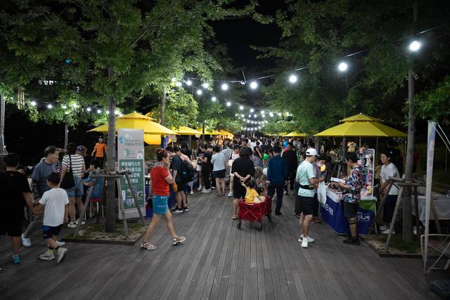 포항 철길숲에서 '야간관광' 접목한 야행 축제가 열리고 있다. 포항시 제공