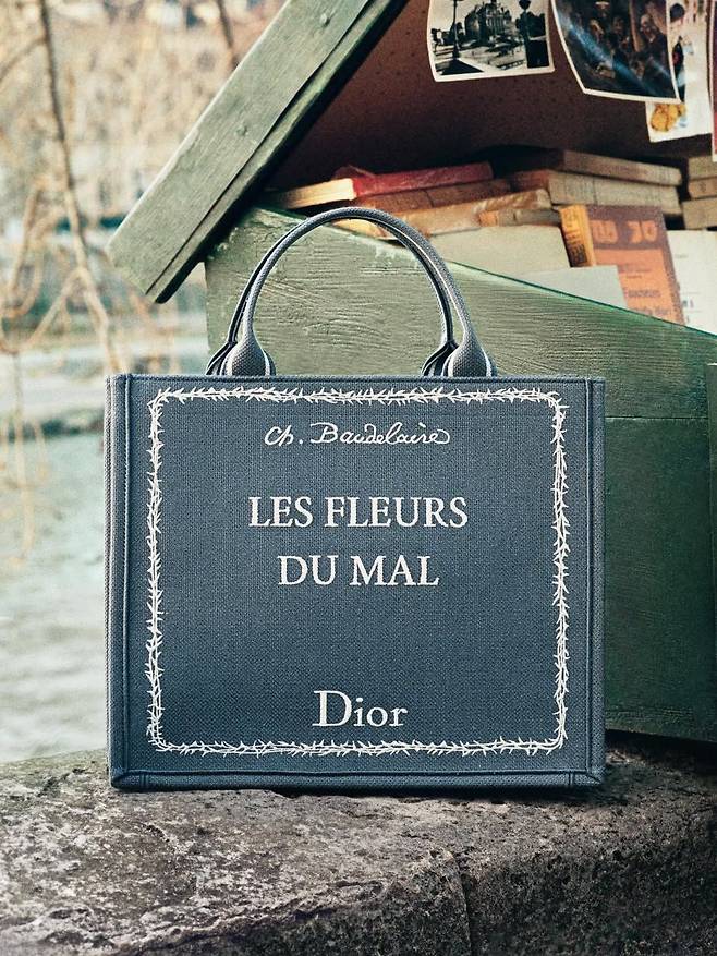 DIOR 2026 S/S BOOK TOTE | 출처 디올