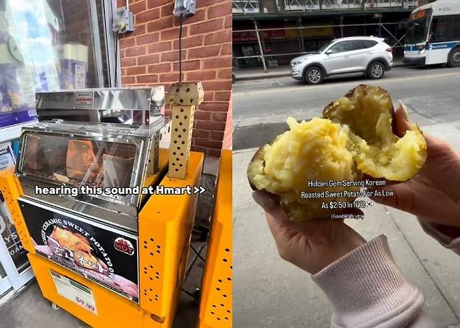 SNS 갈무리 (@chowchowgrubz, @snickolas)