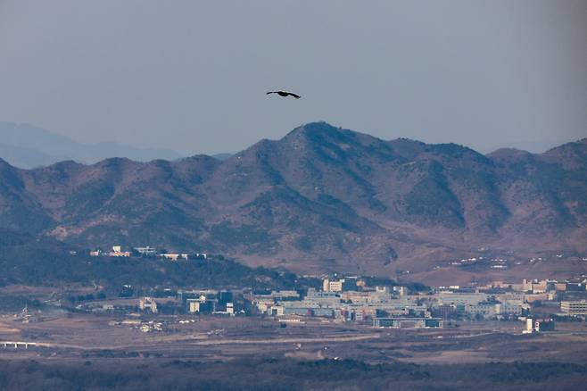 An eagle flies over the border dividing the two Koreas, seen from Paju, Gyeonggi, on Jan. 11. [YONHAP]
