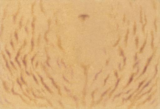 이은실, ‘흔적’(2025).