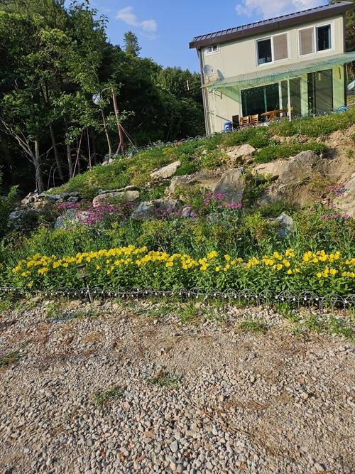 가평군 조종면에 있는 이순호씨 부부의 집 모습. 지난해 7월 내린 극한호우로 이씨 부부는 집과 직접 가꿔온 꽃밭 등을 모두 잃었다. 사진은 폭우 피해 이전의 모습. /이순호씨 제공