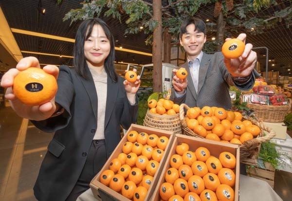 현대백화점 고당도 감귤 H스위트 17./사진=현대백화점그룹 제공