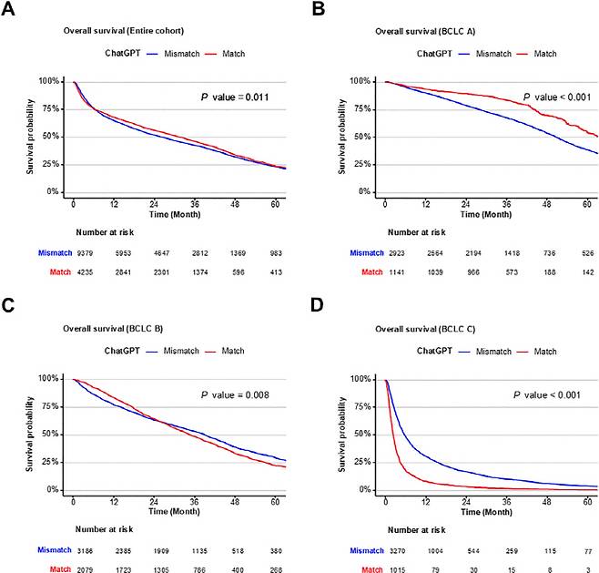ChatGPT 4o가 권고한 치료와 실제 치료의 일치 여부에 따른 환자 생존율 비교. (A) 전체 환자군에서 AI 권고와 일치한 치료를 받은 환자(빨간선)가 불일치 환자(파란선)보다 약간 나은 생존율을 보였다. (B) BCLC A단계(초기 간암)에서는 AI 권고 일치 환자군의 생존율이 유의하게 높았다(HR=0.626, P<0.001). (C) BCLC B단계에서는 소폭의 차이만 관찰됐다. (D) BCLC C단계(진행성 간암)에서는 오히려 AI 권고와 일치한 환자군의 생존율이 낮게 나타났다(HR=2.271, P<0.001). 이는 AI가 종양 특성 중심으로 판단하는 반면, 의사는 간기능과 전신 상태를 종합적으로 고려하기 때문으로 분석된다.