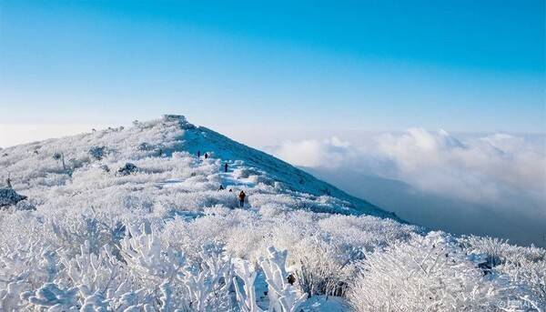 태백산 ⓒ 태백시청