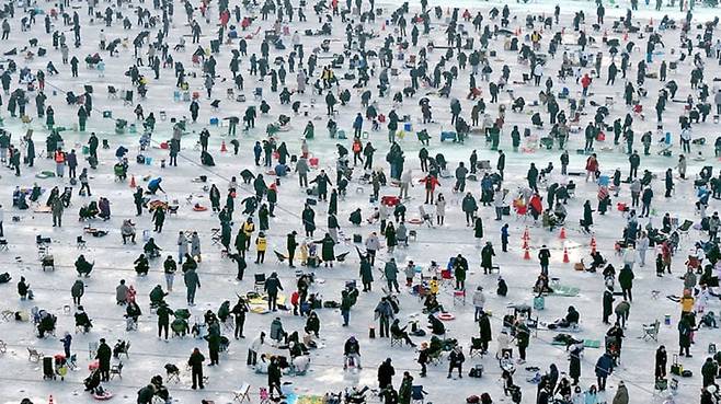 화천산천어축제 현장. /화천군 제공