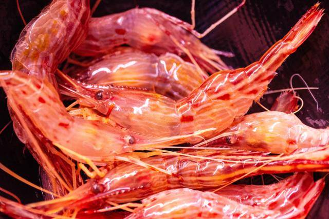 강원 강릉시 주문진수산시장에서 맛본 신선한 물렁가시붉은새우(꽃새우).
