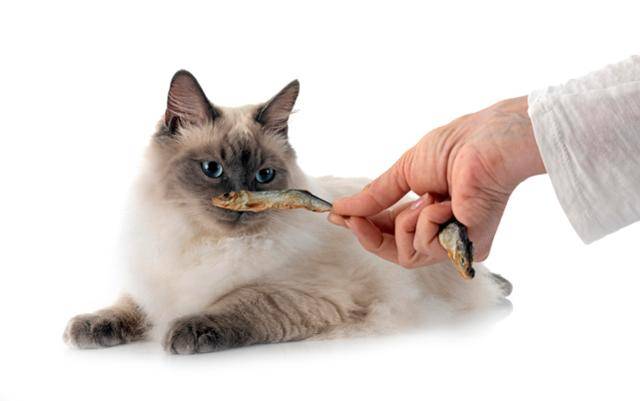 게티이미지뱅크