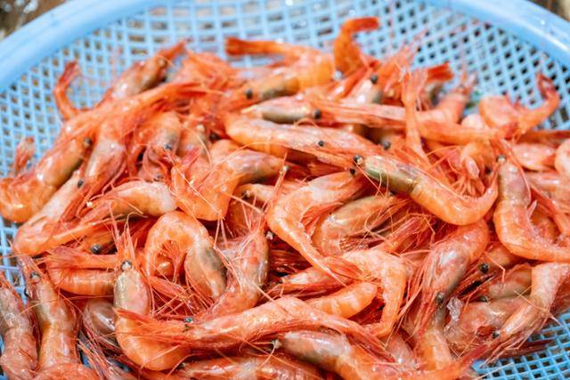 강원 속초시 속초관광수산시장 골목시장(지상)에 북쪽분홍새우(단새우)가 소쿠리째 진열돼 있다.