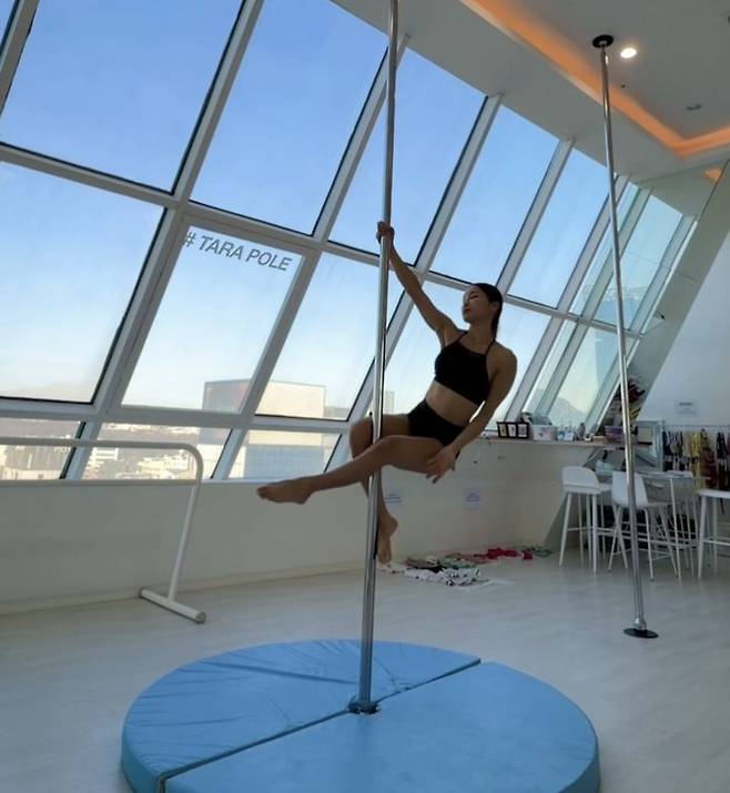 [뉴시스] 폴댄스를 추는 미나. (사진=미나 인스타그램 캡처) *재판매 및 DB 금지