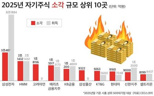 2025년 자사주 소각 상위 10개 기업 [CEO스코어 제공. 재판매 및 DB 금지]
