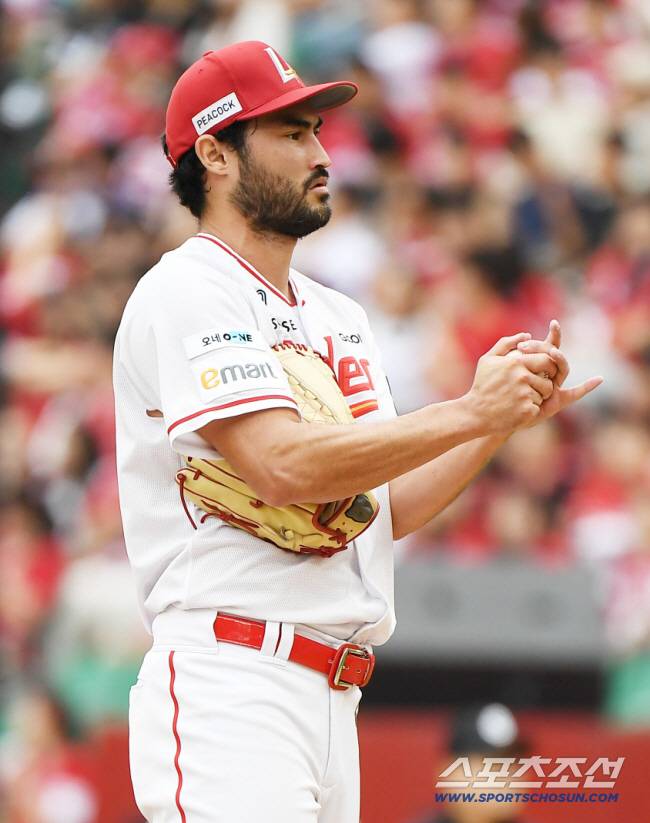 미치 화이트. 스포츠조선DB