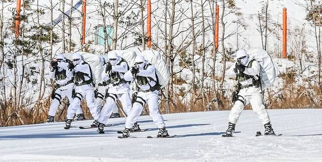 육군 특전사 장병들이 설한지 극복훈련 간 스키를 활용한 전술기동을 실시하고 있다. 육군 제공