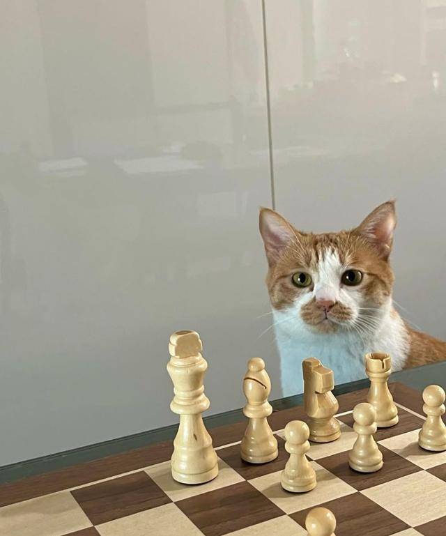 뽀야는 새침데기 공주님~ 보호자 제공