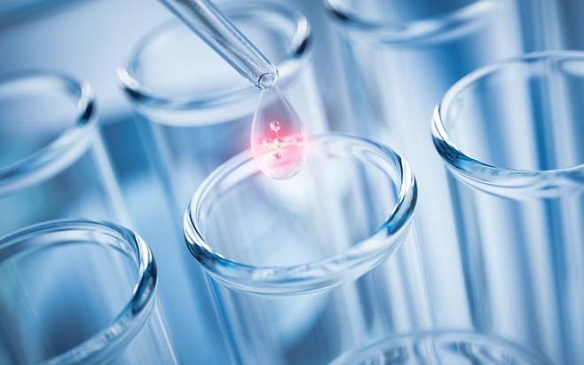 이미지=게티이미지뱅크