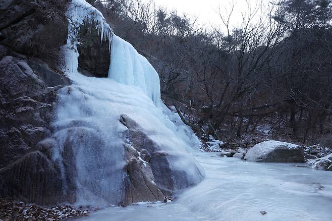 Wongak Falls on Sapaesan Mountain in Yangju, Gyeonggi Province, are frozen over, forming an ice wall, Thursday (Yonhap)