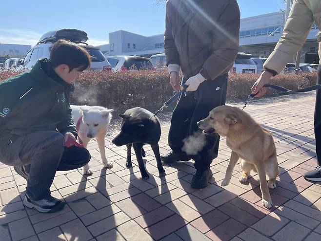 지난 20일 인천국제공항을 찾은 구조견.[한국 휴메인 월드 포 애니멀즈 제공]