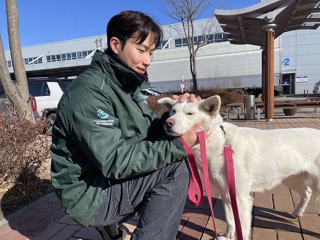지난 20일 인천국제공항을 찾은 구조견.[한국 휴메인 월드 포 애니멀즈 제공]
