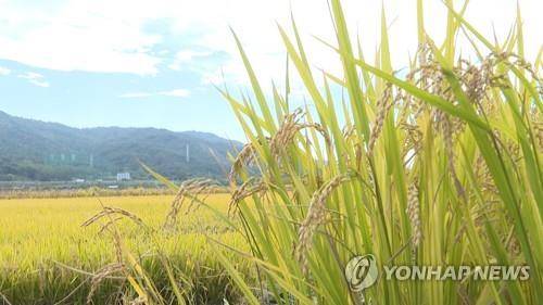 농가 [연합뉴스 자료사진]