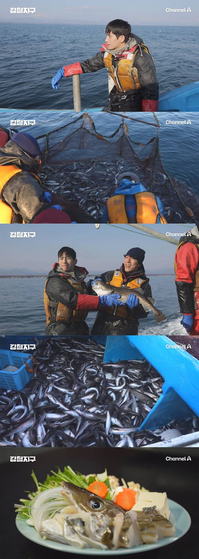 강철지구