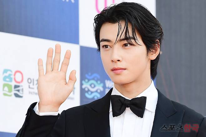 '엄친아' 차은우, 구설 없던 10년 공든 탑 무너지나…200억 추징금에 이미지 몰락 [스한:이슈]