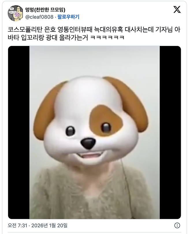 플리들의 사랑스러운 댓글 모음. SNS 및 커뮤니티 갈무리