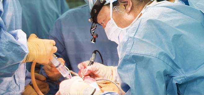 정지혁 서울대병원 소아성형외과 교수가 안면 기형이 있는 소아 환자를 수술하고 있다.  서울대병원 제공