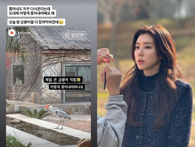 박한별 제주도 카페 연못에서 왜가리가 금붕어를 잡아먹고 있다. /사진=인스타그램 갈무리